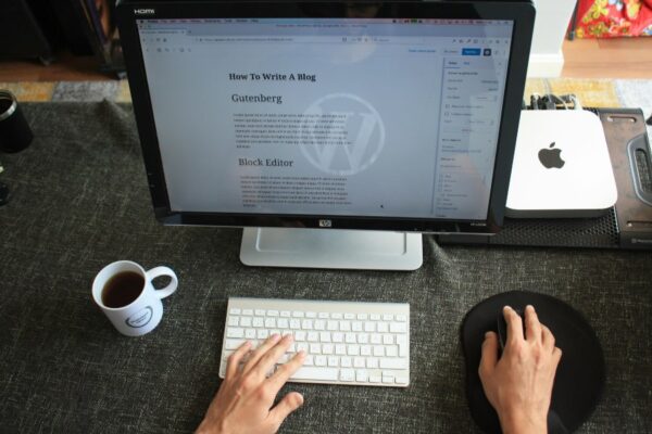 How to Install WordPress Theme: Step by Step for Beginners - Themeton