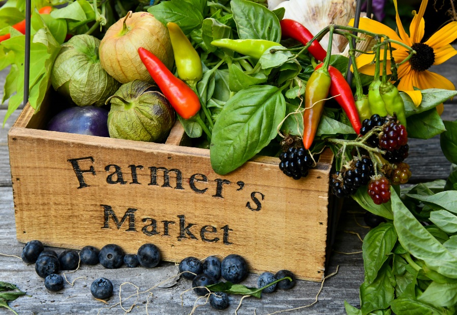 Effective Ways to Market Your Products to Farmers