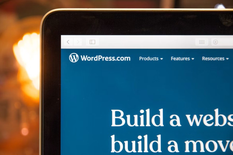Premium Themes vs. Custom WordPress Development