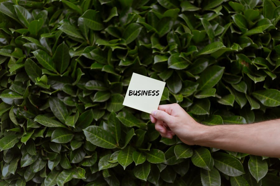 Why Marketing Is Essential for Landscape and Outdoor Service Businesses