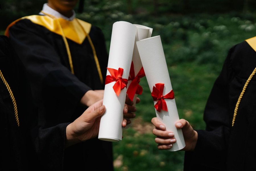 Why a Business Diploma Is Your Career Catalyst