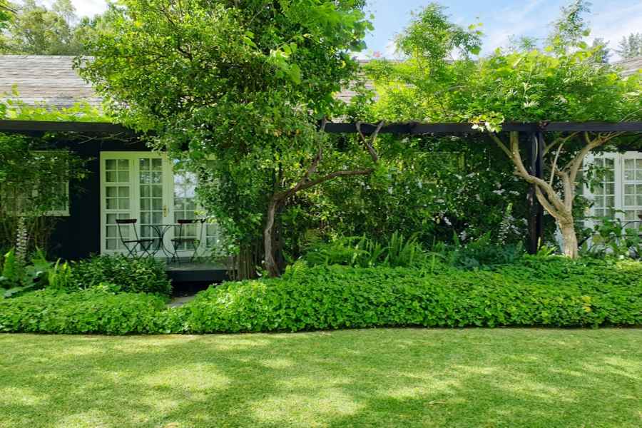 Essential Yard Care Skills for Efficient Home Management